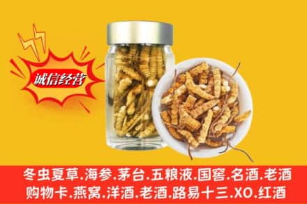 本溪市南芬回收散虫草