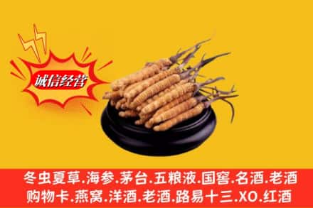 本溪市南芬名酒回收冬虫夏草.jpg